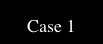  Case 1