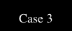  Case 3