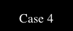  Case 4