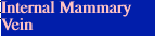 Internal Mammary Vein