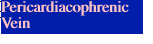 Pericardiacophrenic Vein