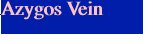 Azygos Vein
