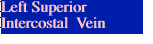 Left Superior Intercostal  Vein