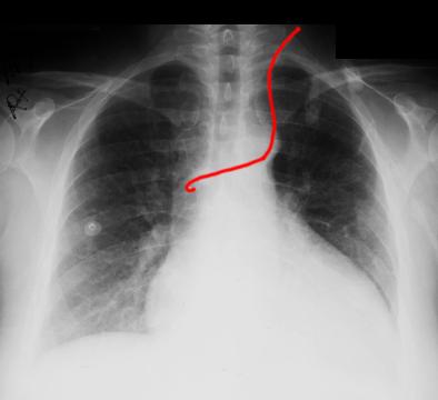 case2lab
