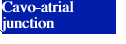 Cavo-atrial junction
