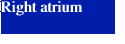 Right atrium