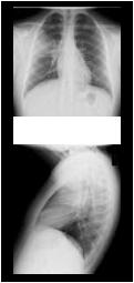 Figure2thumb