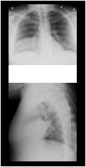 Figure3thumb
