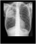Figure4thumb