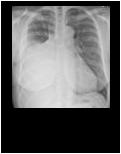 Figure9thumb