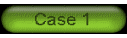 case1