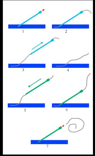 abdwireexp