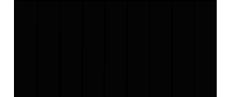 ans1