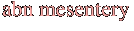 abn mesentery