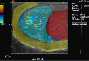 image1lab
