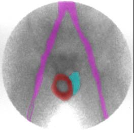 image1lab