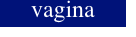 vagina