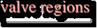 valve regions