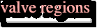 valve regions