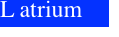L atrium