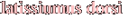 latissiumus dorsi