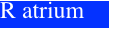 R atrium