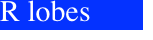 R lobes