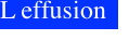 L effusion