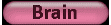 brain2