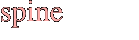 spine