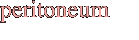 peritoneum