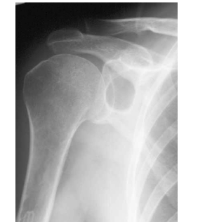 topic1image3