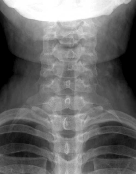 topic3image1