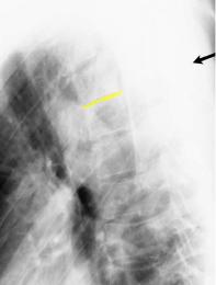 topic3image5