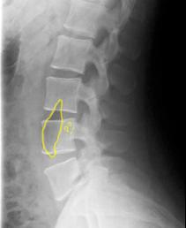 topic3image6