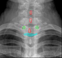 topic3image7