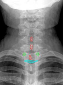 topic3image7