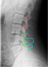 topic3image9
