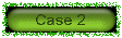 case2