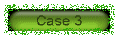 case3