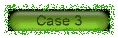 case3
