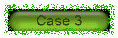 case3