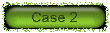 case6