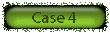 case4
