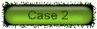 case2