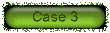 case3