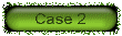 case2