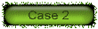 case2