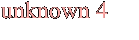 unknown 4