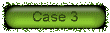 case3
